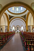 The nave of the Church of Our Lady of the Rosary, Monteros, Argentina, decorated with palm leaves for Palm Sunday.