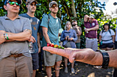 LEAD Maryland Class 12 Panama Study Tour, Coffee Farm (Finca Don Pepe)