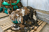 Raw, uncleaned llama wool at Hilandería Warmi, a weaving mill in Palpalá, Argentina.