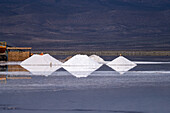 Piles of salt at a salt mining operation on the salt flats of Salinas Grandes in northwest Argentina.