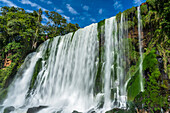 Bossetti Falls at Iguazu Falls National Park in Argentina. A UNESCO World Heritage Site.