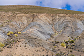 Colorful mineral layers in the eroded canyon of the Cuesta de Lipan between Purmamarca & Salinas Grande in Argentina.