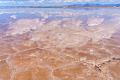 Clouds refected on a shallow sheet of water over polygon shapes on the salt flats of Salinas Grandes in northwest Argentina.