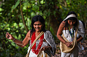 Kogi mamo (priest) and family walking through the forest, with elderly woman sewing while walking.