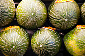 A vibrant array of fresh melons is showcased at the Mercat de la Boqueria, a bustling market in Barcelona, highlighting local produce.