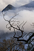 Sonnenaufgangsansicht der Sierra Nevada de Santa Marta, Berge, einschließlich Cerro Kennedy, auch bekannt als "la Cuchillo de San Lorenzo", Kolumbien