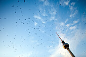 A flock of birds gracefully flies by the iconic Television Tower in Berlin, creating a stunning view against the evening sky.