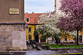 Trees in bloom in Budapest