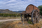 An antique wine cart and wine cask at the Finca El Recreo winery in Cafayate, Argentina.