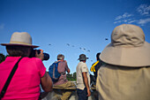 Bootstour zur Vogelbeobachtung mit Colombia Photo Expeditions auf dem Fluss Don Diego, Santa Marta, Kolumbien