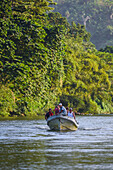 Boat tours in Don Diego River, Santa Marta, Colombia