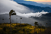 Sunrise view of the Sierra Nevada de Santa Marta, Mountains, including Cerro Kennedy, also known as 'la Cuchillo de San Lorenzo', Colombia