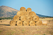 Cylindrical straw bales placement in Valdeprados, province of Segovia.