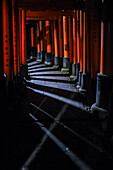 Erkundung des Fushimi Inari Taisha-Tempels bei Nacht, Kyoto, Japan