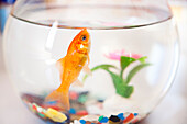 A vibrant goldfish swims in a clear fishbowl, surrounded by colorful pebbles and a green plant, showcasing the tranquility of a home in Seville.