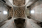 Leon, Spain, Aug 21 2008, Explore the intricate design of the churchs vaults in San Marcos, revealing historical architectural beauty in León.