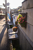 Philosopher's Walk in Kyoto, Japan