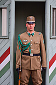 Changing of the Guard in Sandor Palace of Budapest, Hungary