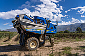 A motorized grape harvesting machine in the vineyard of the Bodega El Esteco winery in Cafayate, Argentina.