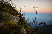 Sunrise view of the Sierra Nevada de Santa Marta, Mountains, including Cerro Kennedy, also known as 'la Cuchillo de San Lorenzo', Colombia