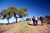 Sanlucar la Mayor, Spain Nov 11 2006, Hikers explore a picturesque dehesa forest in Sanlucar la Mayor, surrounded by holm oaks and Mediterranean scenery.