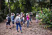 Vogelbeobachtungstour mit Colombia Photo Expeditions in Santa Marta, Kolumbien