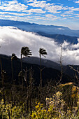 Sunrise view of the Sierra Nevada de Santa Marta, Mountains, including Cerro Kennedy, also known as 'la Cuchillo de San Lorenzo', Colombia