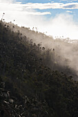 Sonnenaufgangsansicht der Sierra Nevada de Santa Marta, Berge, einschließlich Cerro Kennedy, auch bekannt als "la Cuchillo de San Lorenzo", Kolumbien