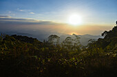 Sunset in Sierra Nevada de Santa Marta, Colombia