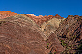 Kakteen, die in den gestreiften Gesteinsschichten des Cerro de los Siete Colores (Hügel der sieben Farben) in Purmamarca, Argentinien, wachsen