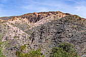 Cardón cactus, Leucostele atacamensis, in the eroded Humahuaca Valley or Quebrada de Humahuaca in Argentina.