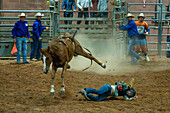 A young cowgirl gets bucked off a bucking horse at the Moab Junior Rodeo in Moab, Utah. Note that she is missing one arm.