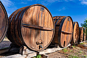 Large wine casks at a winery in Cafayate, Argentina.