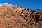 Cacti growing in the striated layers of rock in the Hill of Seven Colors or Cerro de los Siete Colores in Purmamarca, Argentina.