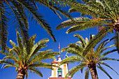 Palm trees surround the colorful bell tower of N. Sra. de Consolación in Carrión de los Céspedes under a clear blue sky.