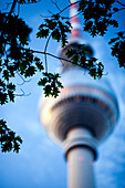 Green tree branches gently surround the Fernsehturm, Berlin\'s iconic tower, set against a bright blue sky.