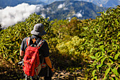 Junger Mann beim Wandern in den Bergen der Sierra Nevada de Santa Marta, Kolumbien