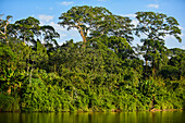 Fluss Don Diego, Santa Marta, Kolumbien