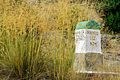 Milestone covered by weed in the mountain pass of El Boquerón, province of Ávila.