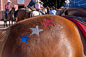 Red, white and blue glitter stars painted on the rump of drill team horse before the Moab Junior Rodeo in Utah.