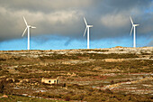 Windmills in La Lancha, province of Ávila.