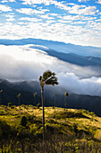 Sunrise view of the Sierra Nevada de Santa Marta, Mountains, including Cerro Kennedy, also known as 'la Cuchillo de San Lorenzo', Colombia