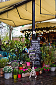 Piknik Pavilon cafe in Budapest