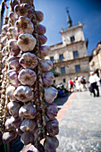 A vibrant display of garlic hanging at the Plaza Mayor market in Leon, capturing the local essence and cultural spirit.