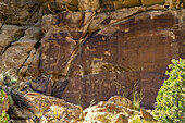 The Long-necked Sheep petroglyph panel, Site 12, in Nine Mile Canyon in Utah. Nine Mile Canyon contains thousands of pre-Hispanic Fremont Culture Native American rock art pictographs and petroglyphs. These rock art panels are between 800 and 1100 years old.