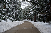 Snow in the winter in the spanish Sierra de Guadarrama National Park.