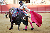 Seville, Spain Aug 15 2006, Uceda Leal engages with a bull at the Real Maestranza bullring in Seville during an intense bullfight on August 15, 2006.