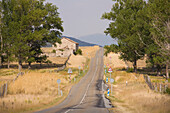 Sunny day on a secondary road in the province of Segovia.