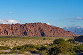 The fantastic eroded landscape of the Angastaco Natural Monument in the Calchaqui Valley in Salta Province, Argentina.