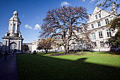 Explore the serene grounds of Trinity College in Dublin, showcasing its historic buildings and vibrant autumn colors.